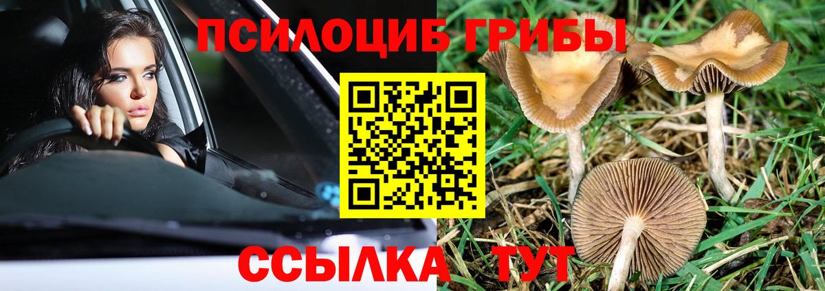 Галлюциногенные грибы ЛСД Урус-Мартан